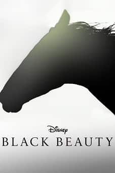 Black Beauty 2020